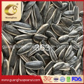 High Quality Sunflower Seeds From China